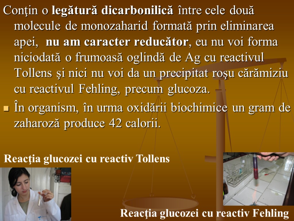 Conţin o legătură dicarbonilică între cele două molecule de monozaharid formată prin eliminarea apei,